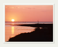 Cape Cod Pink Sunset