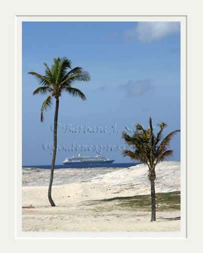 Cruise Ship Between Palms