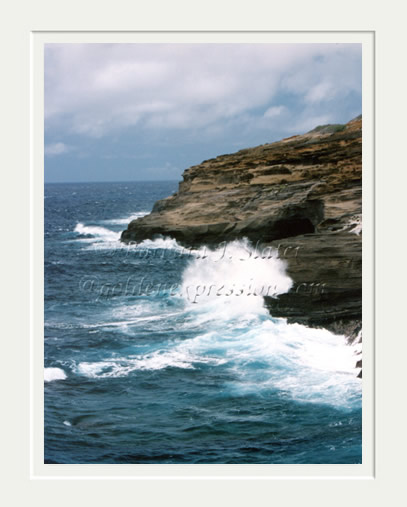 Hawaii Surf