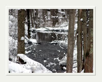 Snowscape